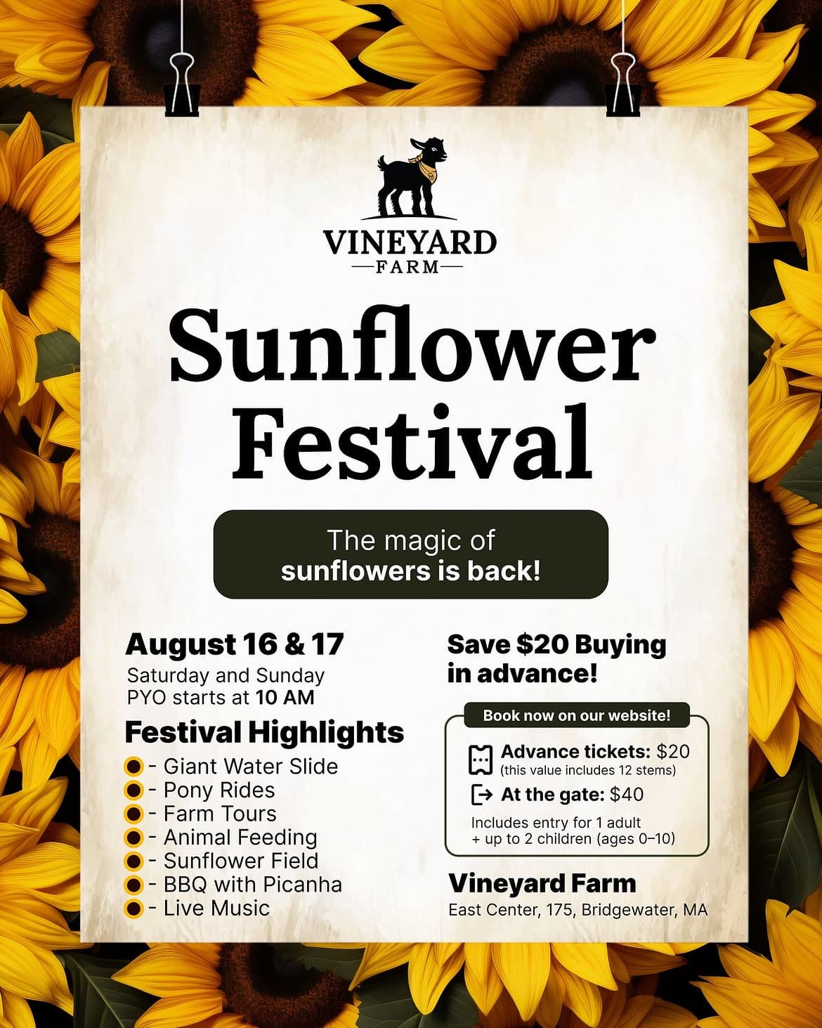 Vineyard Farm Film