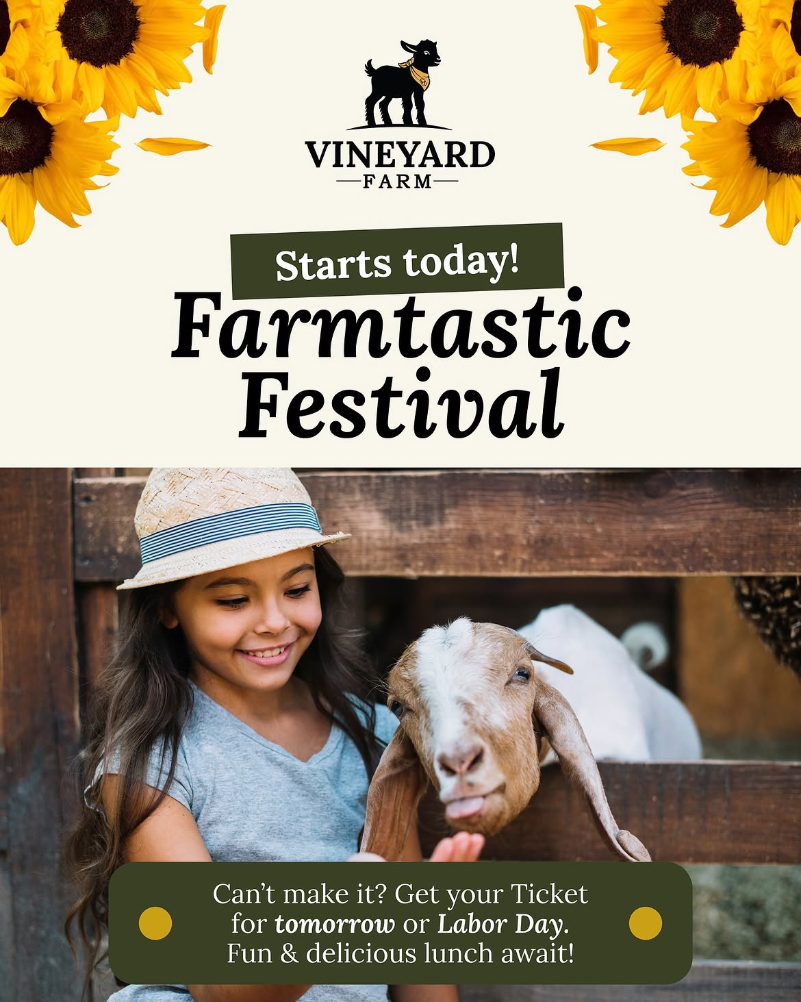 Vineyard Farm: From $4K to $18K/month — 2